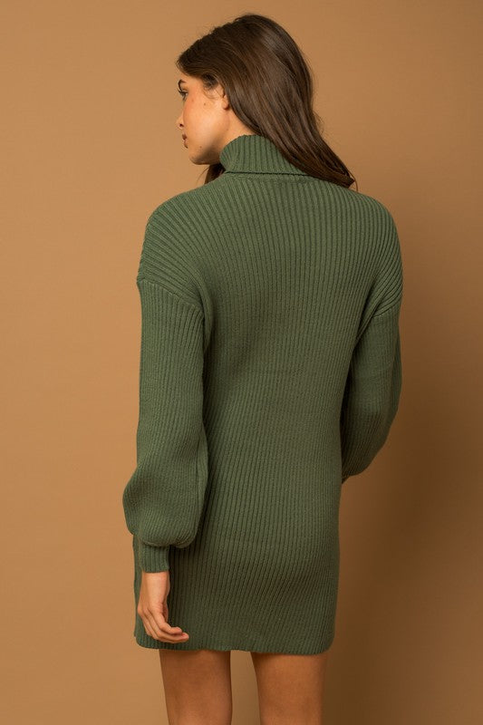 In the Cut Turtle Neck Sweater Dress