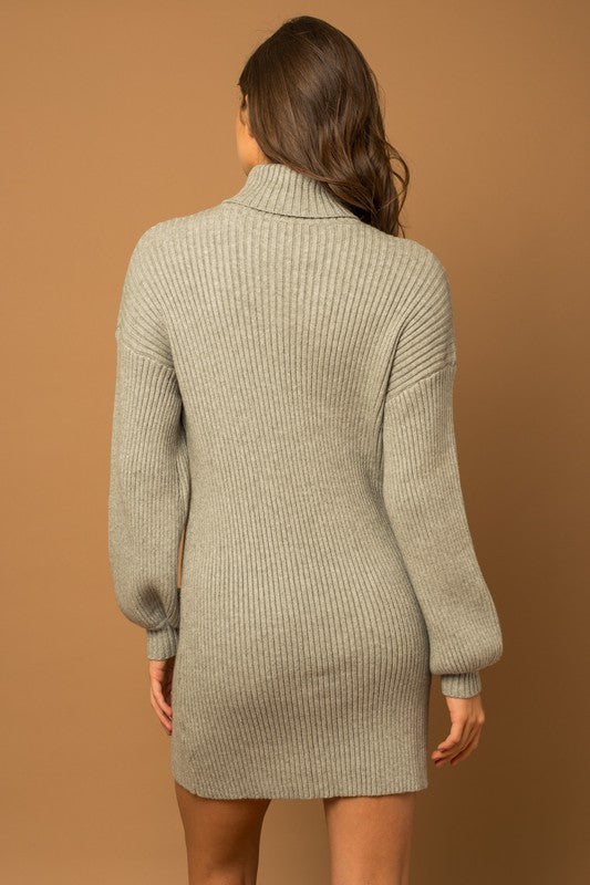 In the Cut Turtle Neck Sweater Dress